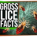 7 Gross Facts